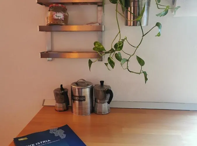 公寓 Istrian Old Town *