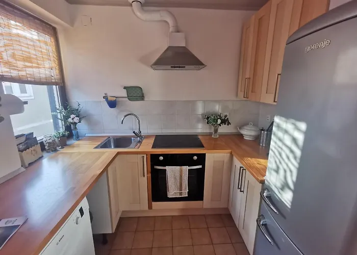 公寓 Istrian Old Town 科佩尔