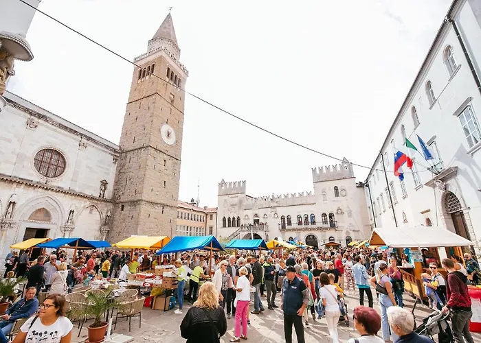 Istrian Old Town 公寓